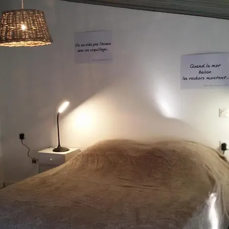 Tatil Evi Le Pressoir - Et Meubles De Tourisme - 2 Etoiles Dolus d'Oléron